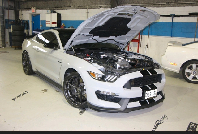 Rare 2016 Shelby GT350- Track Pack- Customized in Cars & Trucks in Markham / York Region - Image 2