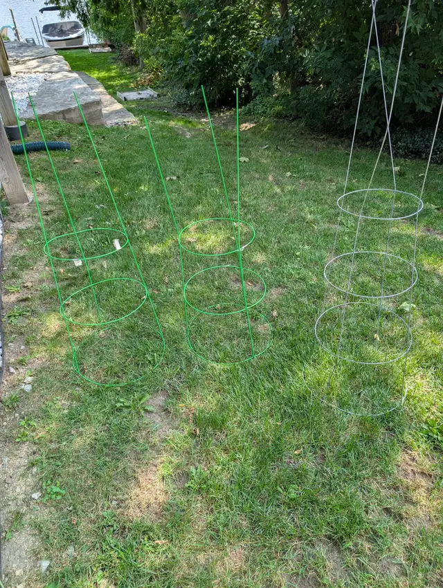 Tomato Plant Cages