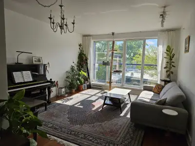 Bright 3 1/2 apartment