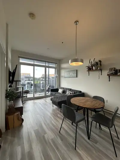 Beautiful 1 Bedroom + Den + Penthouse Apartment-Spacious 4½