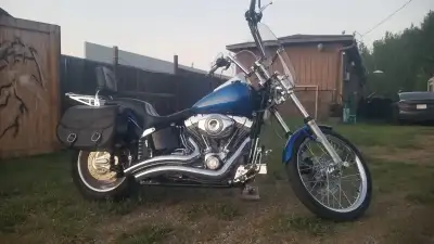 Deffinately a head turner. When you crack the throttle shes like a re-homed rez dog,... barks loud a...