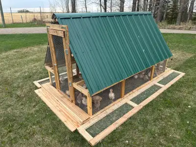 Chicken Tractor, View more