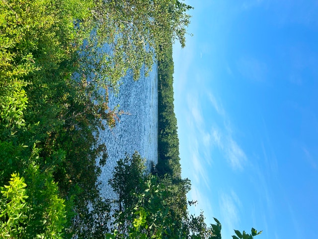 *For Rent* 4 Bedroom Home Located In Milton Long Term Rentals