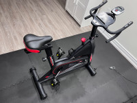 Dmasun Pro Exercise Bike - magnetic resistance