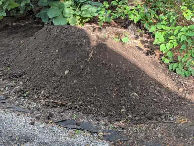 Free Backfill, View more