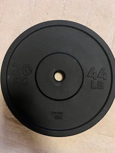 Cast-Iron Weight Plate / Disque de musculation en fonte 44lbs, View more