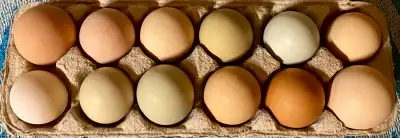 Scrambled Eggs Mix N Match your unique Combo Dozen, View more