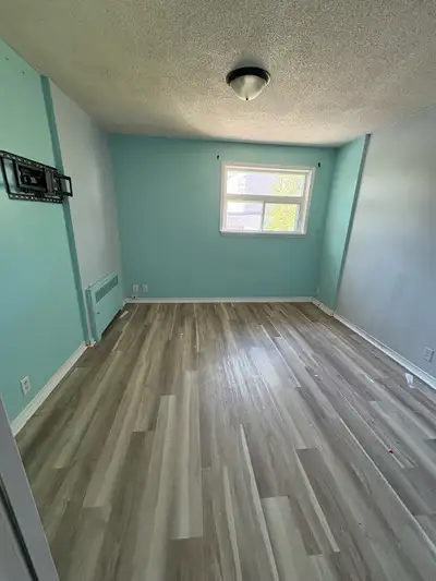1 bedroom in a pet friendly apartment that already has a dog rent is $950 a month plus 1/2 of hydro...