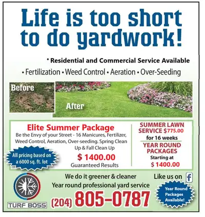 Yard Care And Landscaping, View more