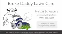 Lawn care / Grass cutting 