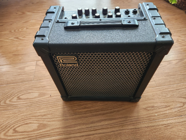 Roland Cube 30 guitar a.p in Amps & Pedals in Kawartha Lakes