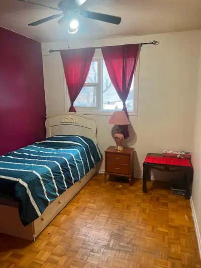 BRIGHT ROOM TO RENT – FEMALE STUDENT/PROFESSIONAL ONLY