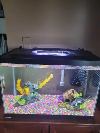 20 gallon aquarium, View more