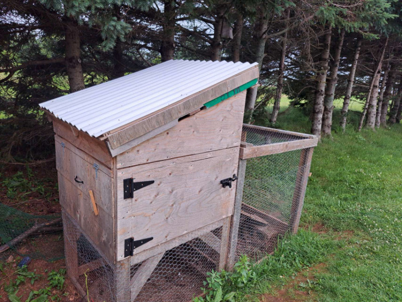 Chicken Coop / Small Animal Coop Accessories Charlottetown Kijiji