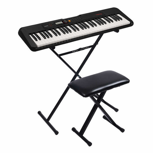 CASIO  S-195 61 key Keyboard w/bench and stand - NEW IN BOX in Pianos & Keyboards in Abbotsford