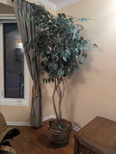 artifical plants, View more