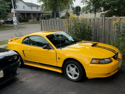 2004 Ford Mustang 3.9L V6 | 127,000 km 40th Anniversary Edition Project Car / Mechanic Special Locat...