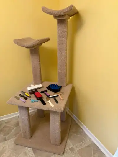 Cat - Tree / Food / Litter / Litter Box / Grooming Tool / Dishes, View more