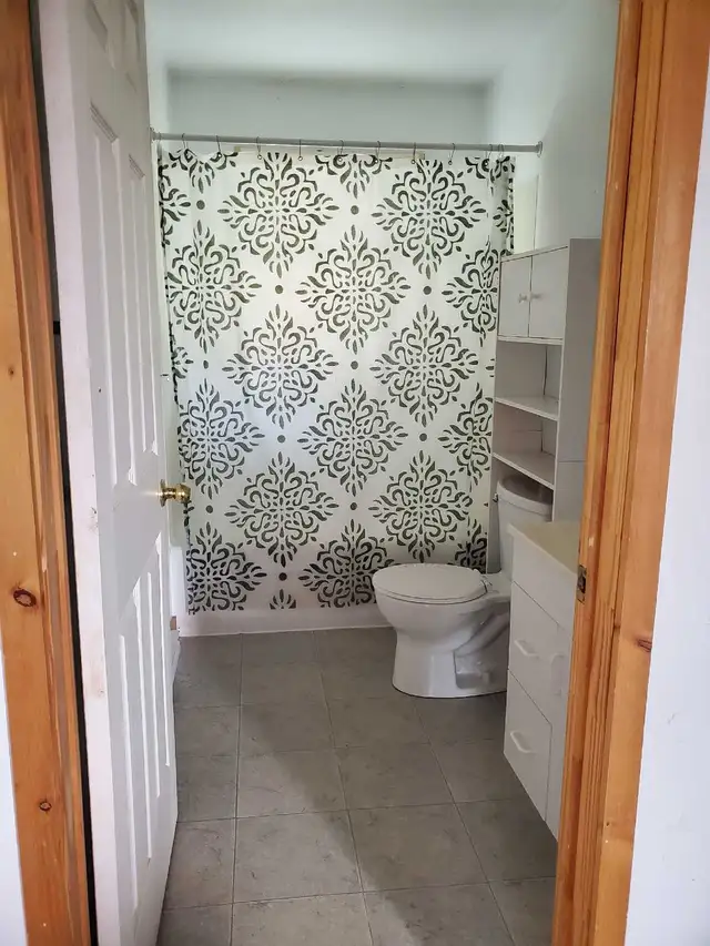 Room for rent in Buckhorn in Short Term Rentals in Peterborough - Image 3