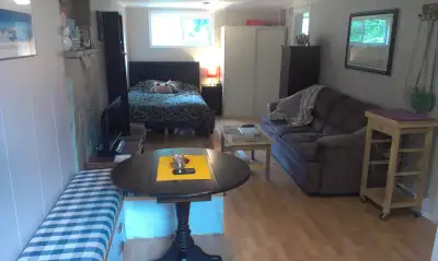 Bright Mountain View Bachelor Suite for Rent
