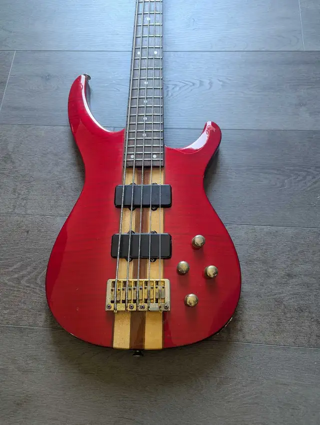 Lado Hawk series 5 string neck thru bass guitar