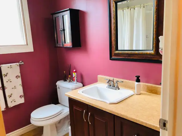 Professional Painter For Hire Ottawa Area542978699167027203