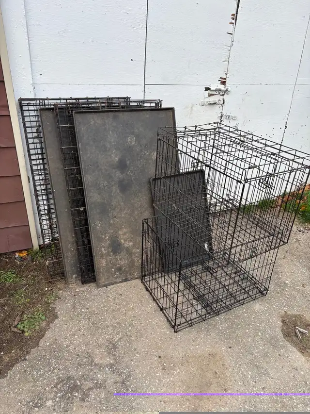Two 48 in  x 30 and two 30 in x 20 in Dog Crates in Accessories in Brantford - Image 3