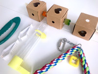 Bird Toys and Accessories
