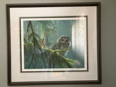Mossy Branches Spotted Owl PRINT Framed,Matted PRO, View more