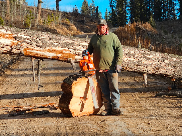 Wildwoodsman Firewood sales in BBQs & Outdoor Cooking in Calgary