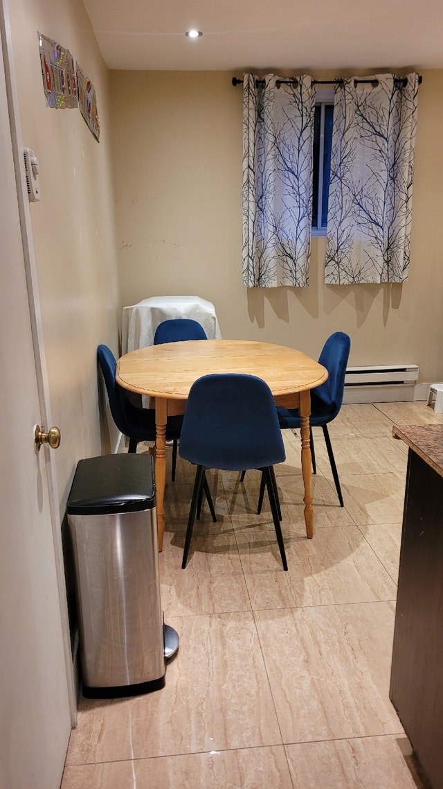 Looking for Female Roommate Locations temporaires Ville de Montréal