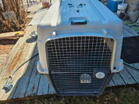 Essentials XL Dog Crate for Sale - Airline Approved