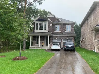 Luxury One Bedroom for Rent