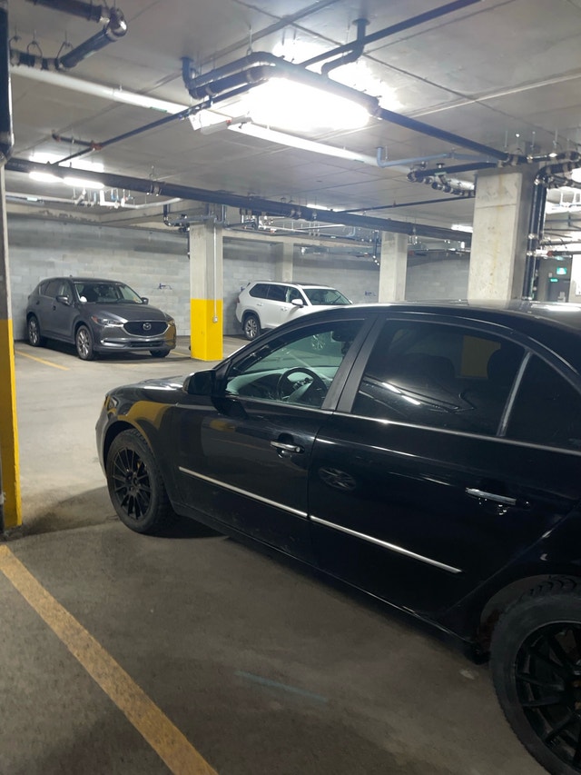 Hyundai sonata 2009 — photo 4