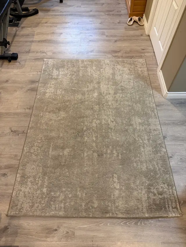 5’ x 7’ Area Rug