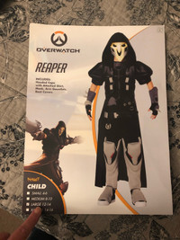 Overwatch costume 