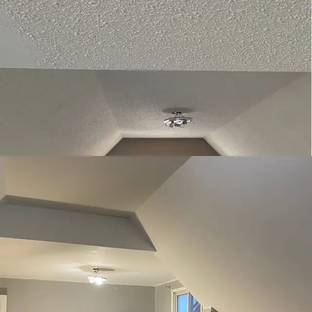 DUSTLESS STUCCO POPCORN CEILING REMOVAL64241777856515120