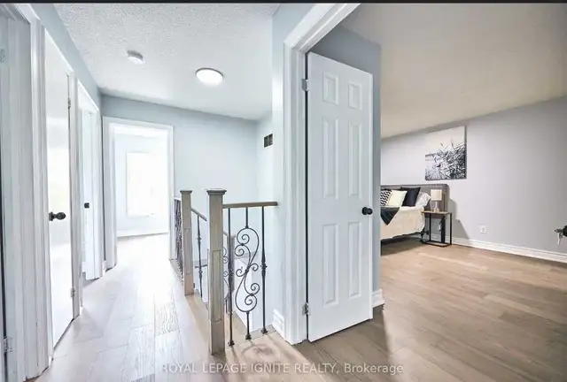 Brampton Room Rental in Room Rentals & Roommates in Mississauga / Peel Region - Image 7