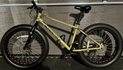 Fat Tire Bike, View more