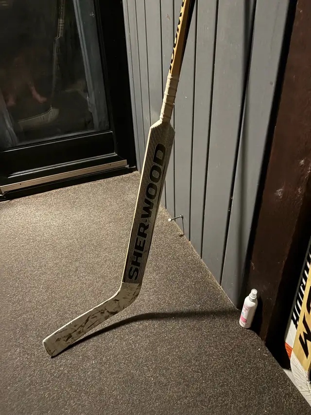 full right goalie