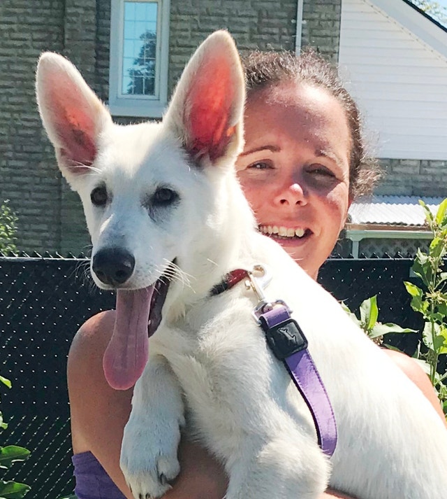 Rescue 2 White Shepherd older PuppiesReturned Dogs & Puppies for