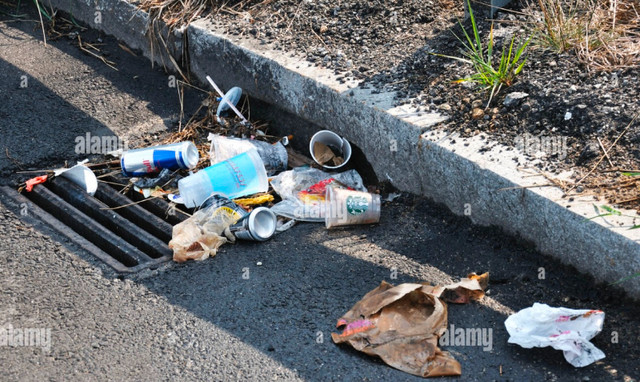 Litter clean up towns and highway in Other in Cape Breton - Image 2