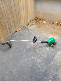 Weed Eater Gas Trimmer Not Running Project