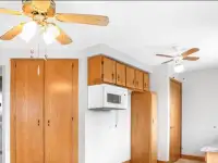 Ceiling fans and light fixture