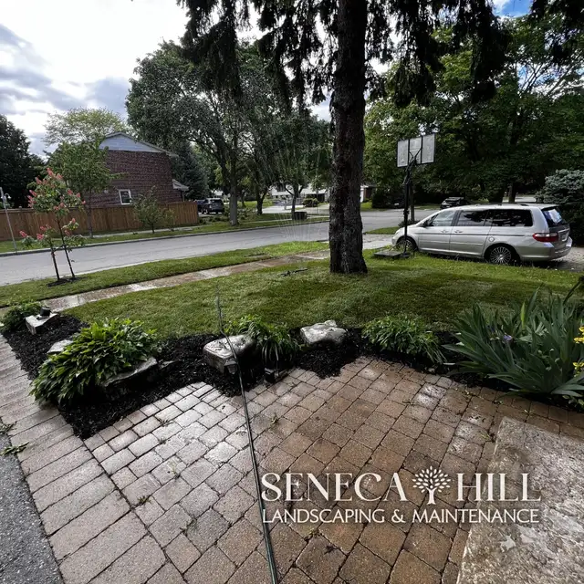Professional Lawn Maintenance Plans | SenecaHill Landscaping in Lawn, Tree Maintenance & Eavestrough in City of Toronto - Image 8