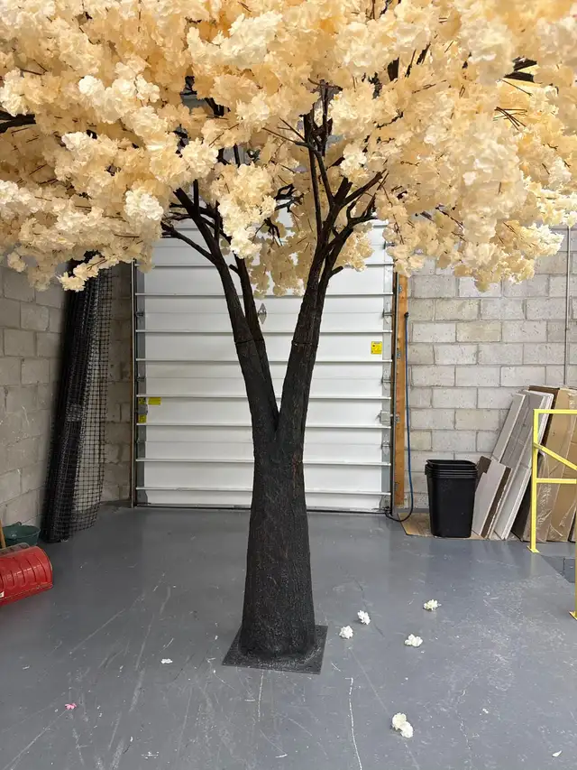Luxury Cherry Blossom Trees | Straight, Arched & Weeping Styles in Home Décor & Accents in Mississauga / Peel Region - Image 4