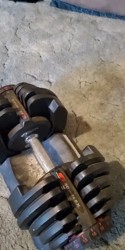 Bowflex dumbbells 90 pound, View more