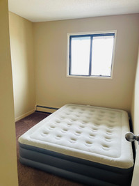 Room available for rent in two bedroom Apartment from may 1st .