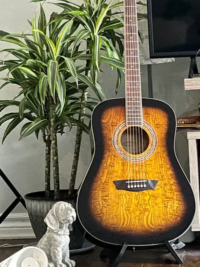 Washburn guitar Costco, View more