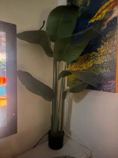 artificial plant, View more